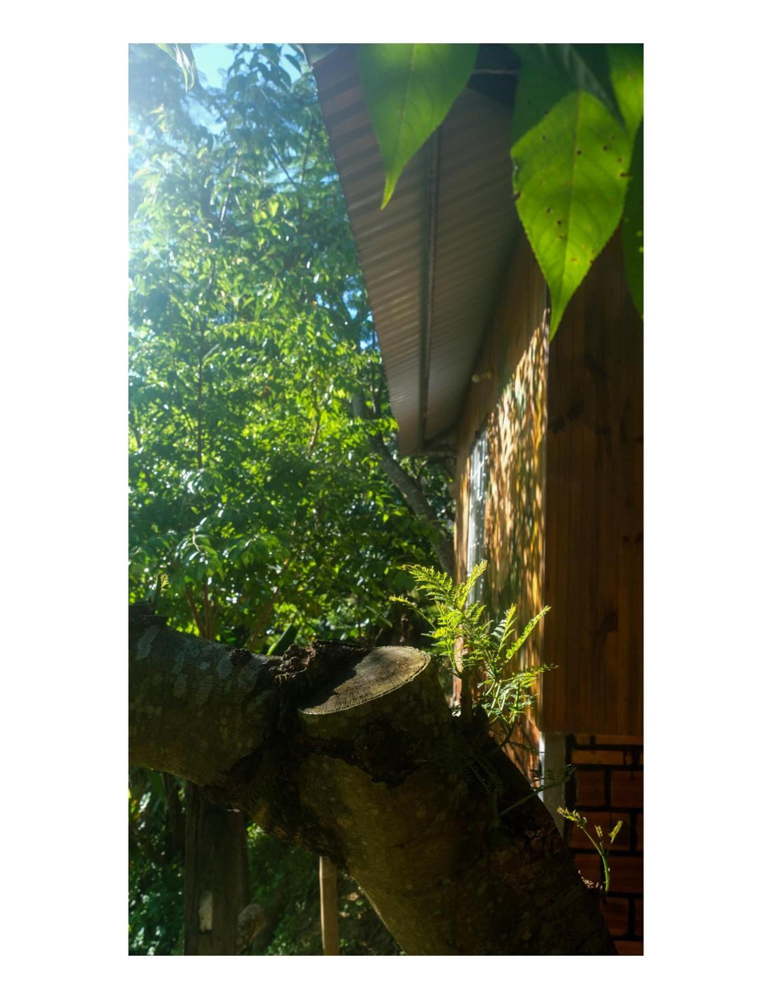 Nha Ben Ho - Da Lat Homestay 외부 사진