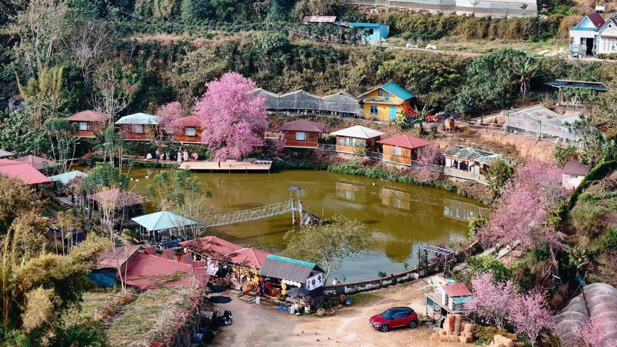 Nha Ben Ho - Da Lat Homestay 외부 사진