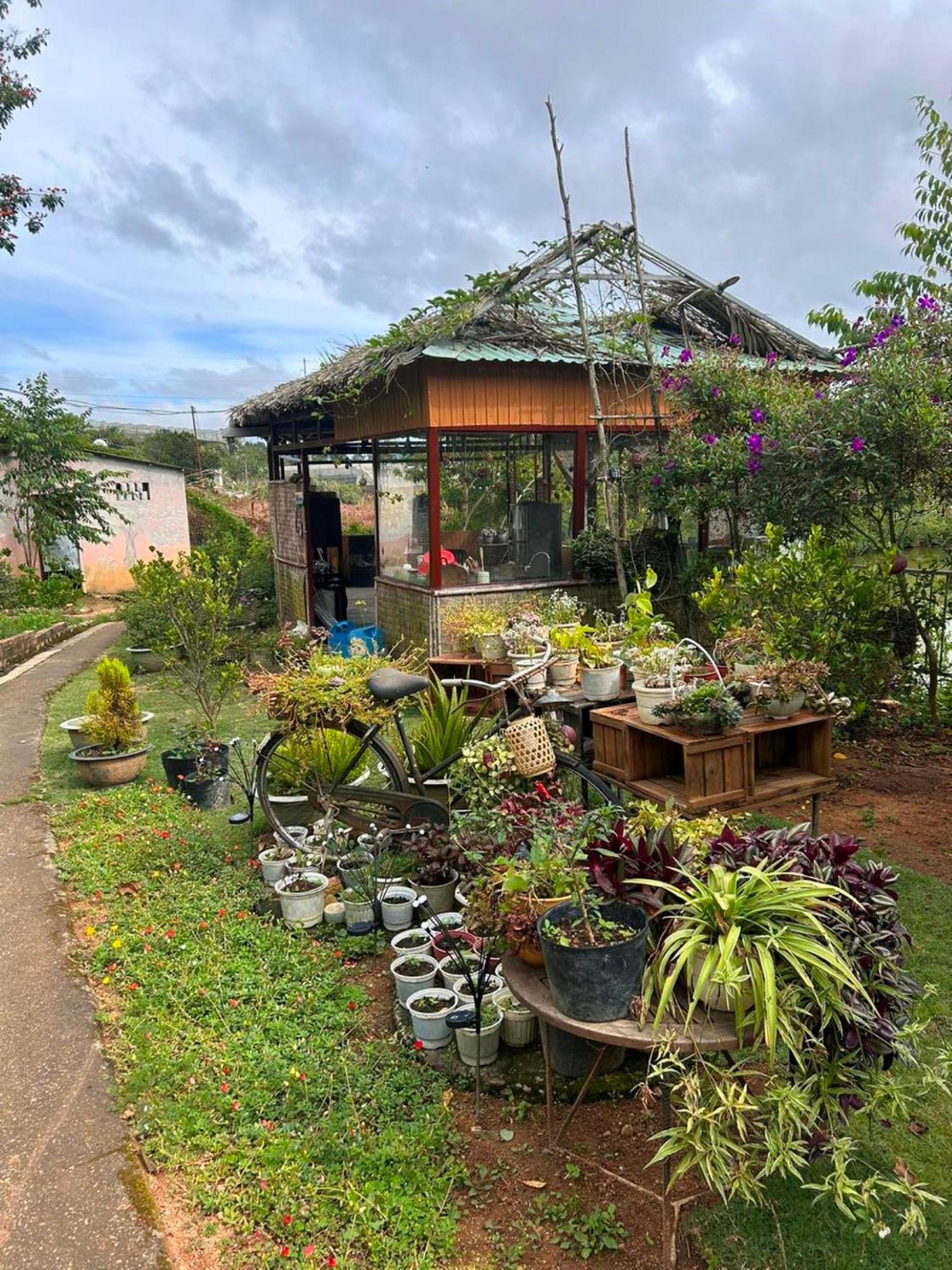 Nha Ben Ho - Da Lat Homestay 외부 사진
