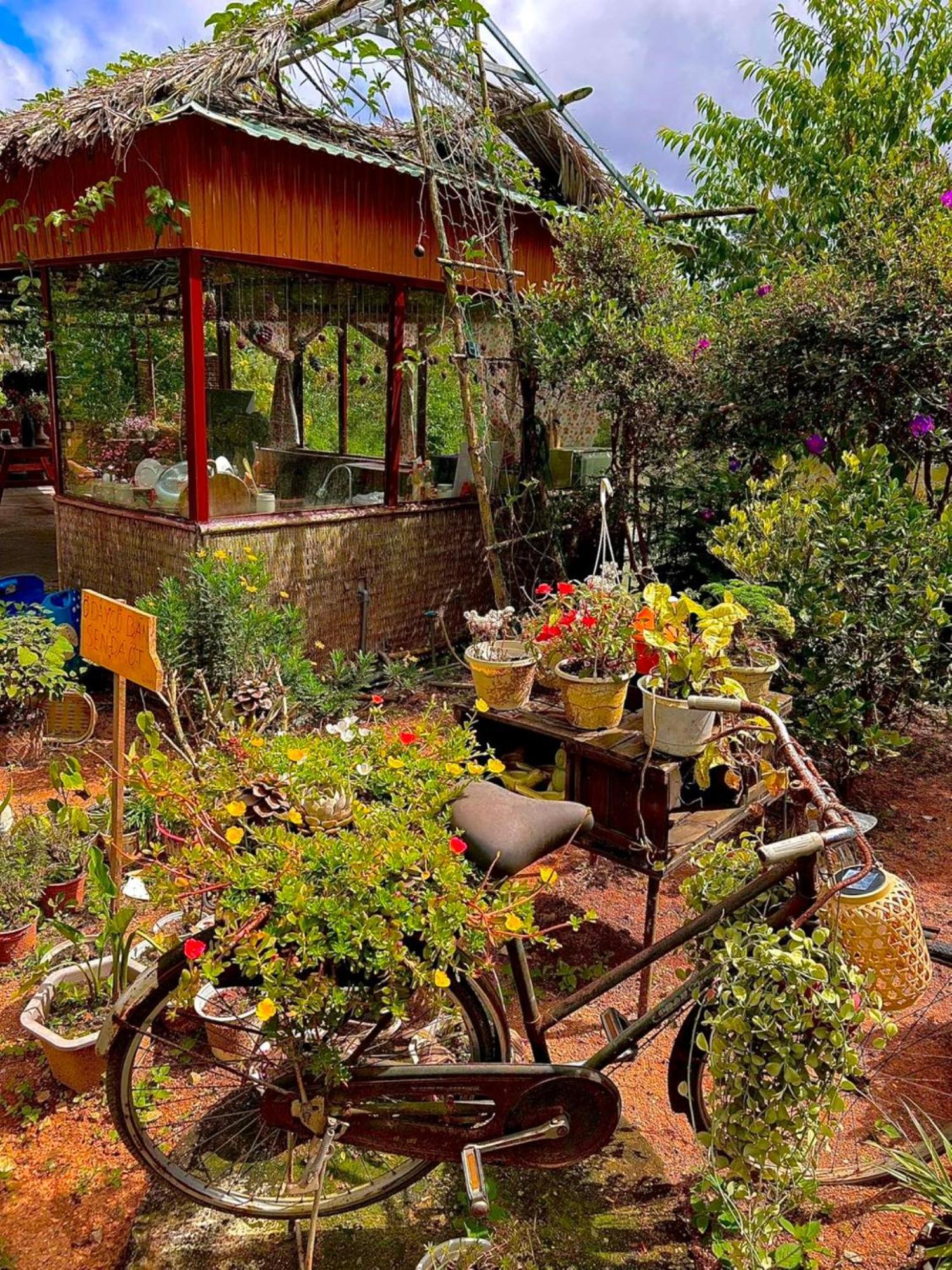 Nha Ben Ho - Da Lat Homestay 외부 사진