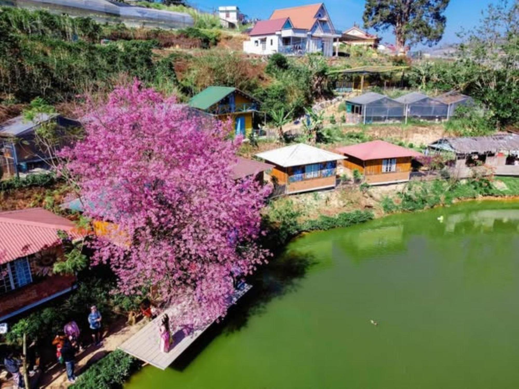 Nha Ben Ho - Da Lat Homestay 외부 사진