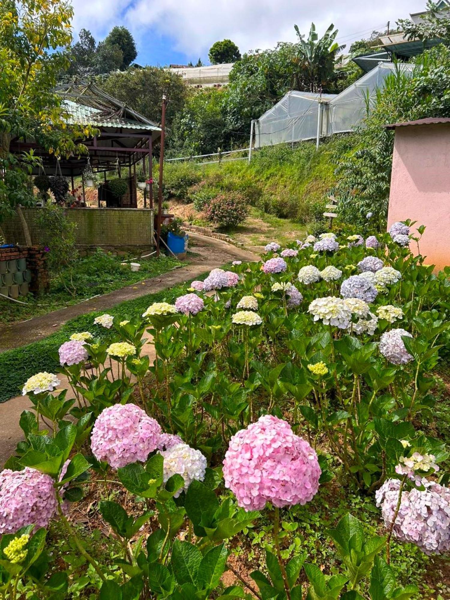 Nha Ben Ho - Da Lat Homestay 외부 사진