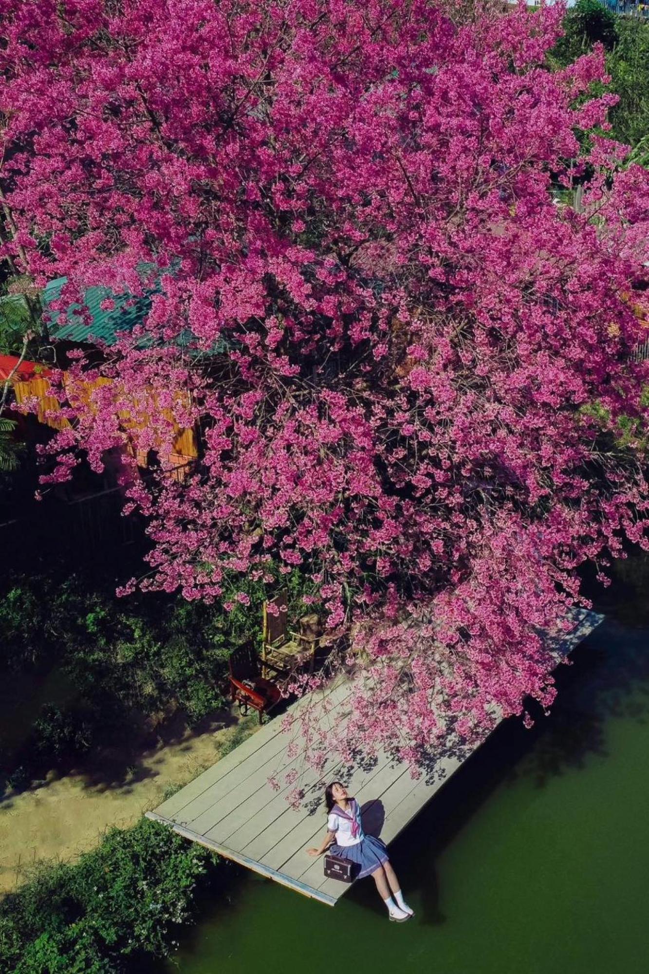 Nha Ben Ho - Da Lat Homestay 외부 사진