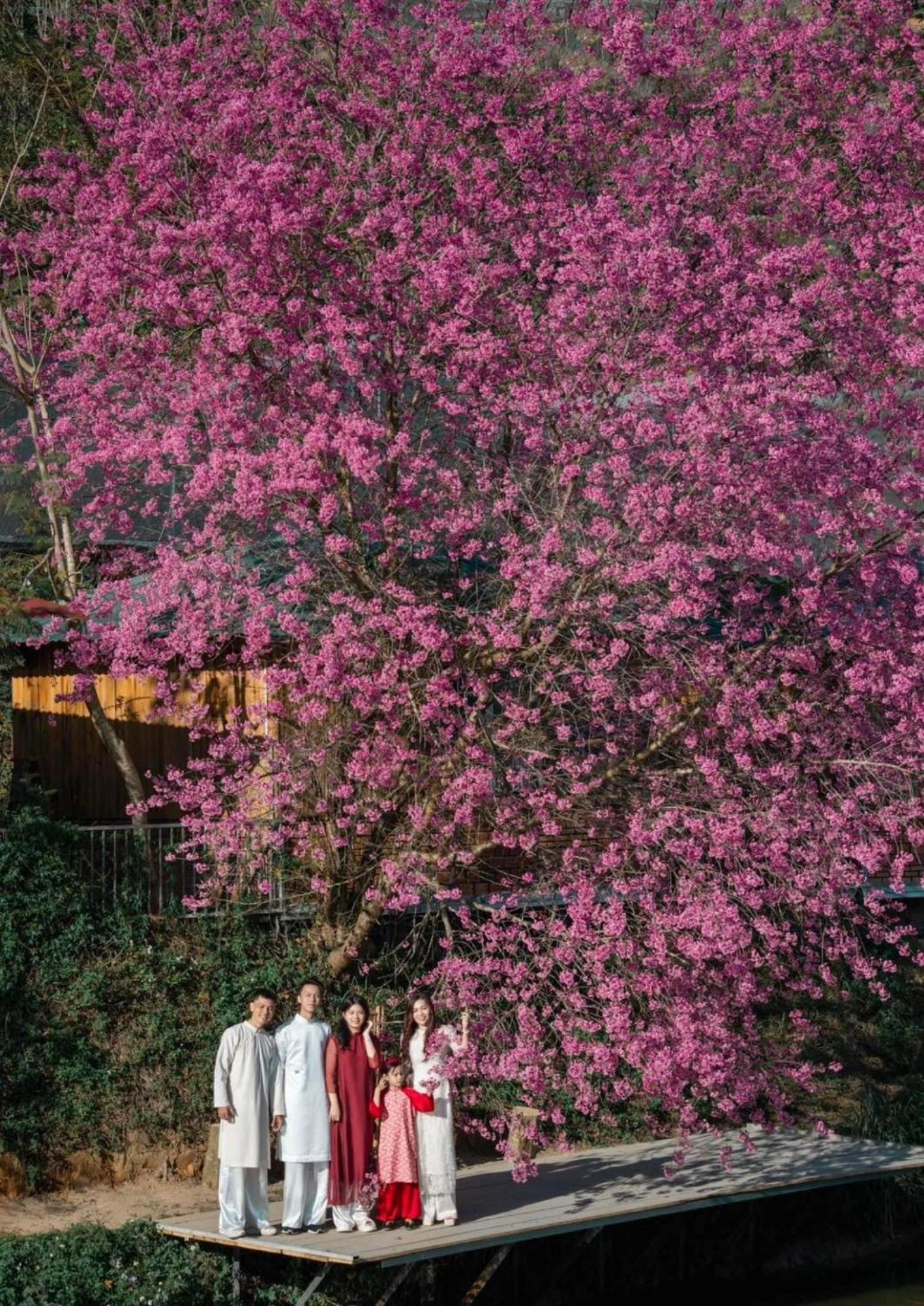 Nha Ben Ho - Da Lat Homestay 외부 사진