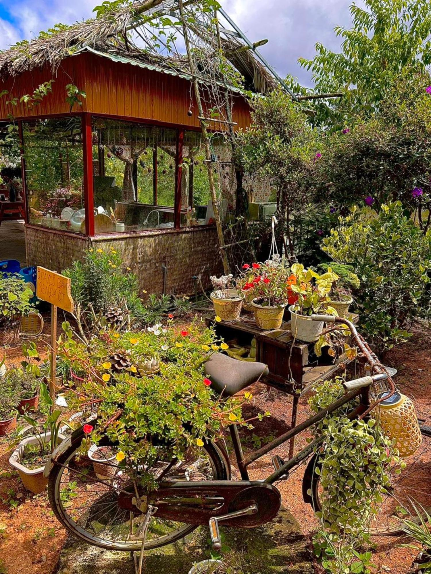 Nha Ben Ho - Da Lat Homestay 외부 사진